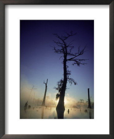 Sunrise At The Alligator Bayou Swamp, Louisiana by Kevin Leigh Pricing Limited Edition Print image