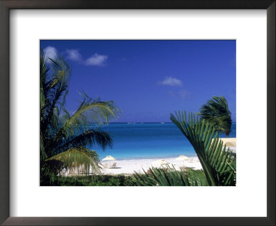 Tropical Beach, Turks And Caicos Islands by Timothy O'keefe Pricing Limited Edition Print image