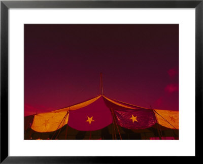 Tivoli Park, Rio De Janeiro, Brazil by Silvestre Machado Pricing Limited Edition Print image