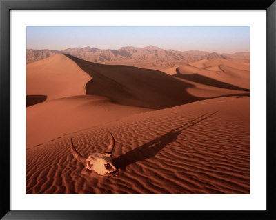 Cow Skull On Sand Dunes, Monument Valley, Az by Michael Howell Pricing Limited Edition Print image