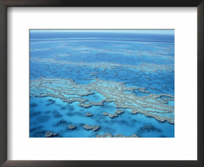 Hardy Reef, Great Barrier Reef, Queensland, Aust by Rick Strange Pricing Limited Edition Print image