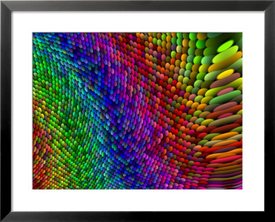 Multi-Coloured Fractal Design by Albert Klein Pricing Limited Edition Print image