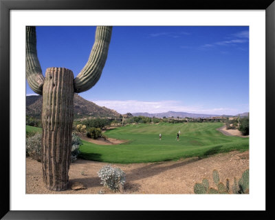 The Boulders Golf Course, Phoenix, Az by Bill Bachmann Pricing Limited Edition Print image