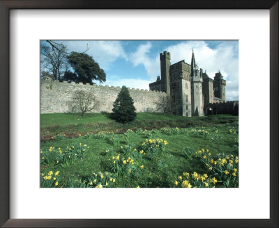 Cardiff Castle, Wales by Ron Johnson Pricing Limited Edition Print image