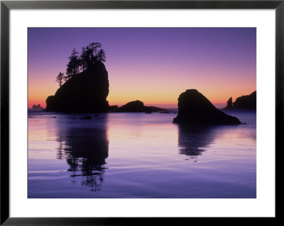 Beach, Olympia National Park, Wa by Mark Windom Pricing Limited Edition Print image