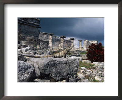 Mayan Ruins, Tulum, Mexico by Angelo Cavalli Pricing Limited Edition Print image