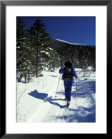 Backcountry Skiing On Saddleback Mountain, Northern Forest, Maine, Usa by Jerry & Marcy Monkman Pricing Limited Edition Print image