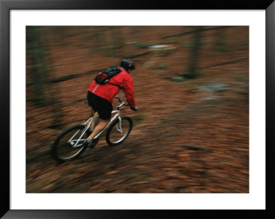 A Cyclist Mountain Bikes On The Trails Of Sewanee, Tennessee by Stephen Alvarez Pricing Limited Edition Print image
