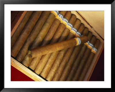 Cuban Cigars, Havana, Cuba by Angelo Cavalli Pricing Limited Edition Print image