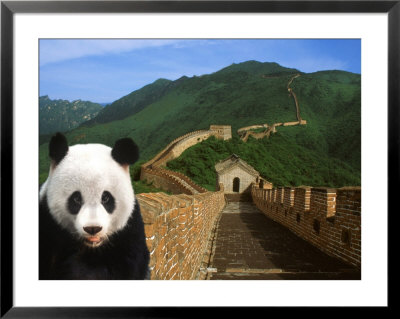 Panda And Great Wall Of China by Bill Bachmann Pricing Limited Edition Print image