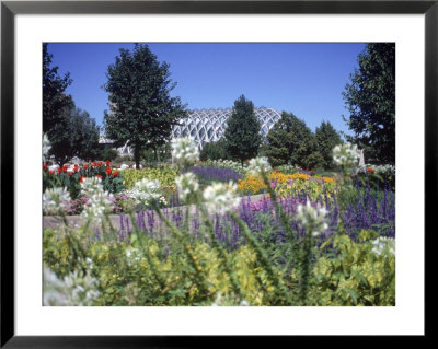 Denver Botanic Gardens, Denver, Co by Sherwood Hoffman Pricing Limited Edition Print image