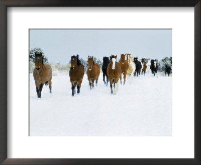 Horse Roundup, Sombrero Ranch Horse Drive, Co by Joseph B. Rife Pricing Limited Edition Print image