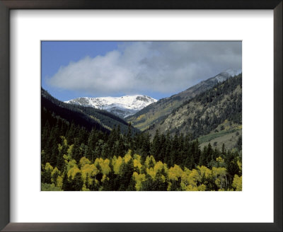 San Isabel National Forest, Colorado by Allen Russell Pricing Limited Edition Print image