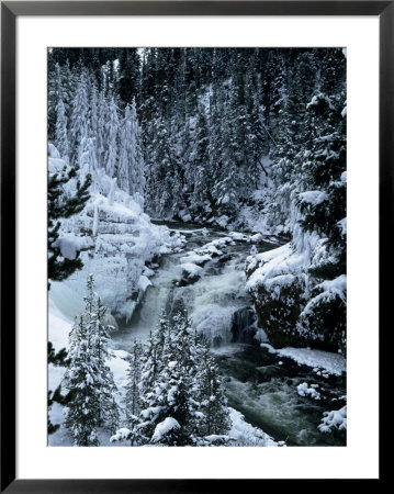 Cascades Of The Firehole, Yellowstone National Park, Wy by Michele Burgess Pricing Limited Edition Print image