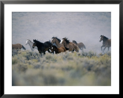 Wild Horses Running In The High Desert by Inga Spence Pricing Limited Edition Print image