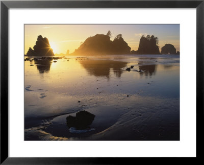 Shi Shi Beach, Point Of Arches, Wa by Mark Windom Pricing Limited Edition Print image