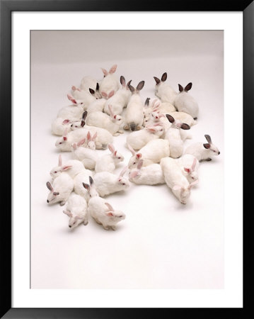 Group Of Rabbits by Howard Sokol Pricing Limited Edition Print image