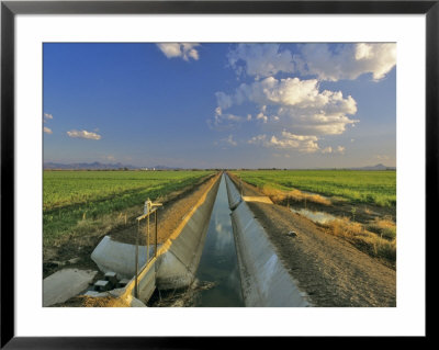 Irrigation Canal Near Palo Verde, California, Usa by Chuck Haney Pricing Limited Edition Print image