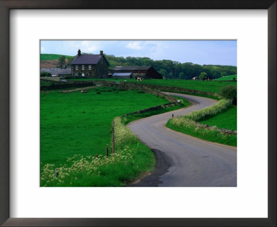 Country Road And Farmhouse, Goathland, England by Grant Dixon Pricing Limited Edition Print image