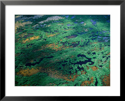 Aerial View Of Wetlands, Everglades National Park, Usa by Jim Wark Pricing Limited Edition Print image