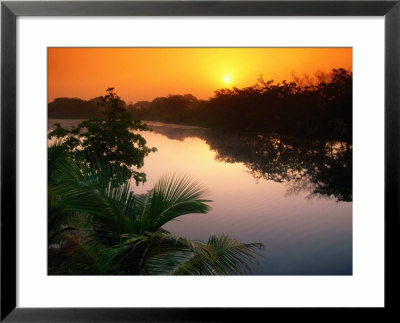 Sun Rising Over The Still New River, Belize by John Elk Iii Pricing Limited Edition Print image