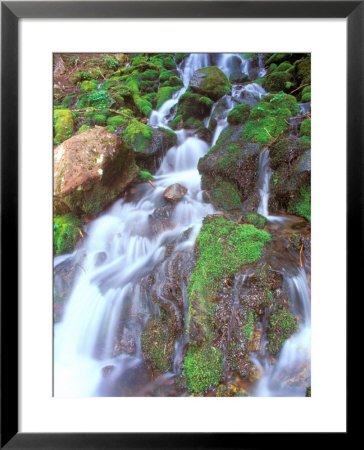 Mountain Stream, Mt. Rainier National Park, Washington, Usa by Rob Tilley Pricing Limited Edition Print image