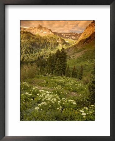 Yankee Boy Basin Scenic, Summer, Usa by Daniel Cox Pricing Limited Edition Print image