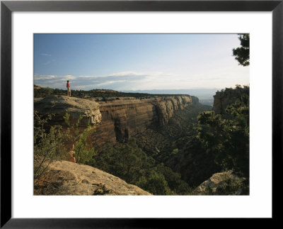 A Man Atop Red Rock Canyon Overlook In Colorado National Monument by Richard Nowitz Pricing Limited Edition Print image