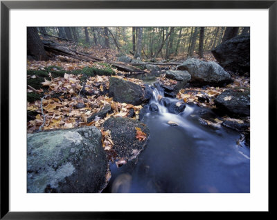 Great Brook Trail In Late Fall, New Hampshire, Usa by Jerry & Marcy Monkman Pricing Limited Edition Print image