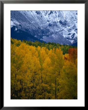 Mt. Sneffel's Range In The San Juan Mountains, San Juan National Forest, Usa by Mark Newman Pricing Limited Edition Print image