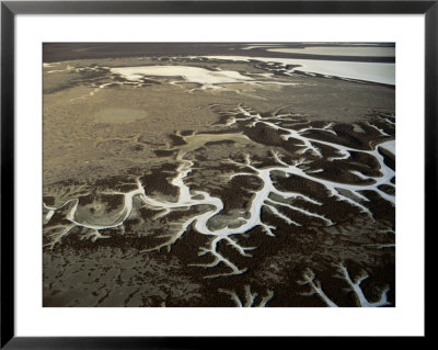 Aerial Of Tentacle-Like Branches Of Soda Lake In The Carrizo Plain, Mojave Desert, Usa by Jim Wark Pricing Limited Edition Print image
