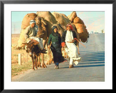 Local Lebanese Arabs Traveling On Road With Caravan Of Camels And Donkey Loaded With Goods by Carlo Bavagnoli Pricing Limited Edition Print image