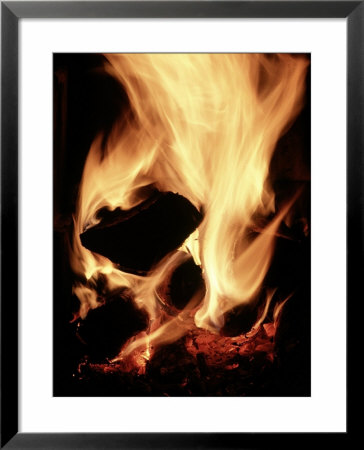 Close-Up Of Campfire At Night by John Coletti Pricing Limited Edition Print image