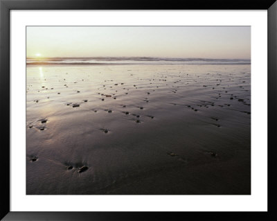 Pebbles Form Patterns On A Sandy Ocean Tidal Flat At Sunset, Australia by Jason Edwards Pricing Limited Edition Print image