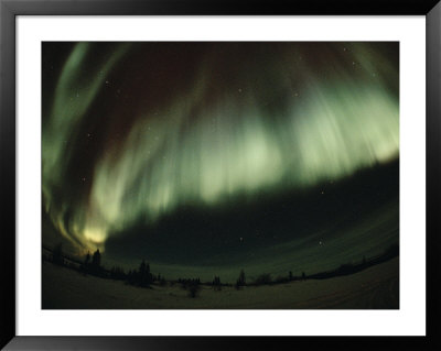 The Aurora Borealis Glows Brightly Over Churchill From Late November Through Late March by Norbert Rosing Pricing Limited Edition Print image