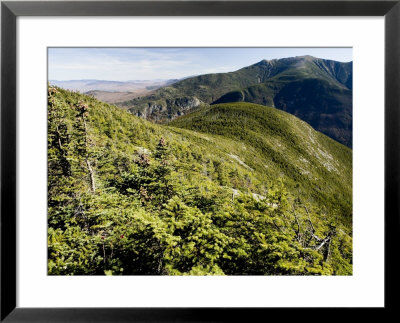Scenic Elevated View Of The White Mountains by Tim Laman Pricing Limited Edition Print image