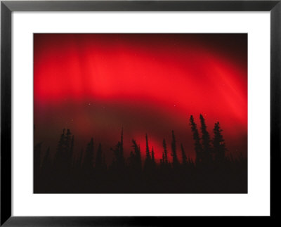 Red Aurora Borealis, Alaska by Michael S. Quinton Pricing Limited Edition Print image
