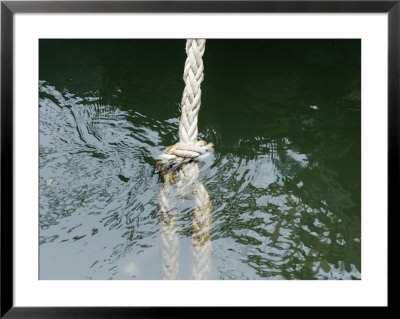 Close Up Of A Rope At The Water's Surface, New York, New York by Todd Gipstein Pricing Limited Edition Print image