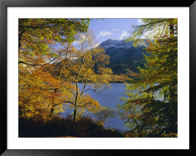 Autumn Trees At Ullswater, Lake District National Park, Cumbria, England, Uk, Europe by Roy Rainford Pricing Limited Edition Print image