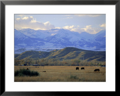 Looking West Towards The Rocky Mountains From Big Timber, Sweet Grass County, Montana, Usa by Robert Francis Pricing Limited Edition Print image