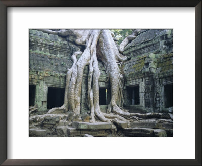 Ta Prohn, Angkor, Siem Reap, Cambodia, Indochina, Asia by Gina Corrigan Pricing Limited Edition Print image