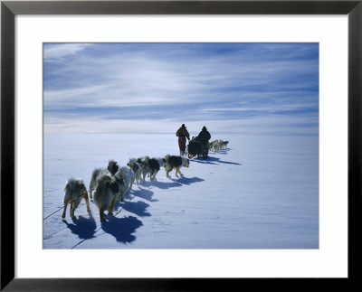 Huskies And Dog Sledge, Antarctica by Wally Herbert Pricing Limited Edition Print image