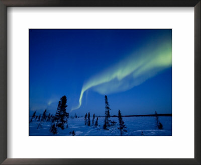 Northern Light, Aurora Borealis, Churchill, Manitoba, Canada by Thorsten Milse Pricing Limited Edition Print image