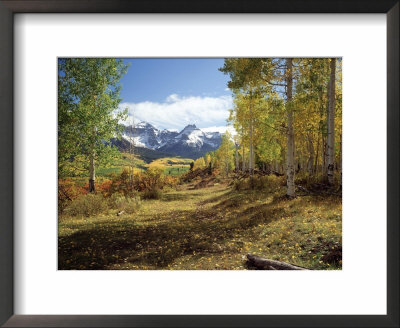 Trees In Wilderness In Fall With Mountain Range by Fogstock Llc Pricing Limited Edition Print image
