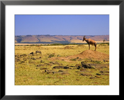 Topi Overlooking Landscape, Kenya by Joe Restuccia Iii Pricing Limited Edition Print image