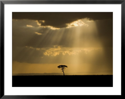 Mystical Sunset On Camp In The Maasai Mara, Kenya by Joe Restuccia Iii Pricing Limited Edition Print image
