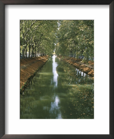 Canal De Brienne, Town Of Toulouse, Haute Garonne, Midi-Pyrenees, France by Bruno Barbier Pricing Limited Edition Print image
