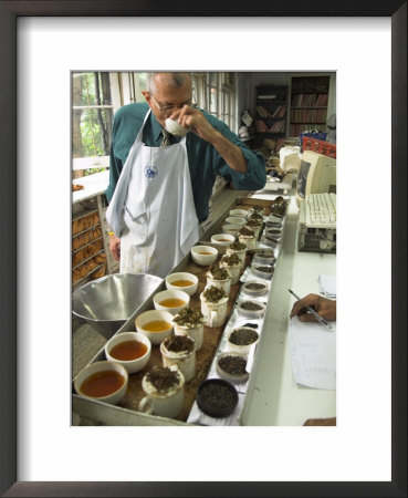 Ravi Kidwai, Tea Specialist, Tasting And Assessing Tea, Kolkata by Eitan Simanor Pricing Limited Edition Print image