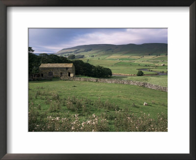 Garsdale, Yorkshire, England, United Kingdom by Michael Short Pricing Limited Edition Print image
