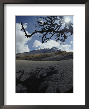 A View Of A Snow-Capped Mountain And Sunlight Through Tree Branches by Raul Touzon Pricing Limited Edition Print image